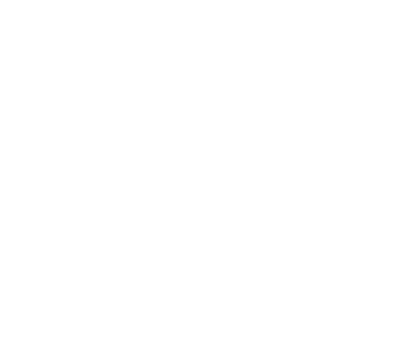 UTV | Hayes Brands UTV | Hayes Brands